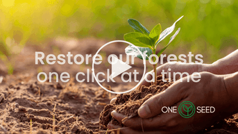 OneSeed reflorestação regenerativa.png